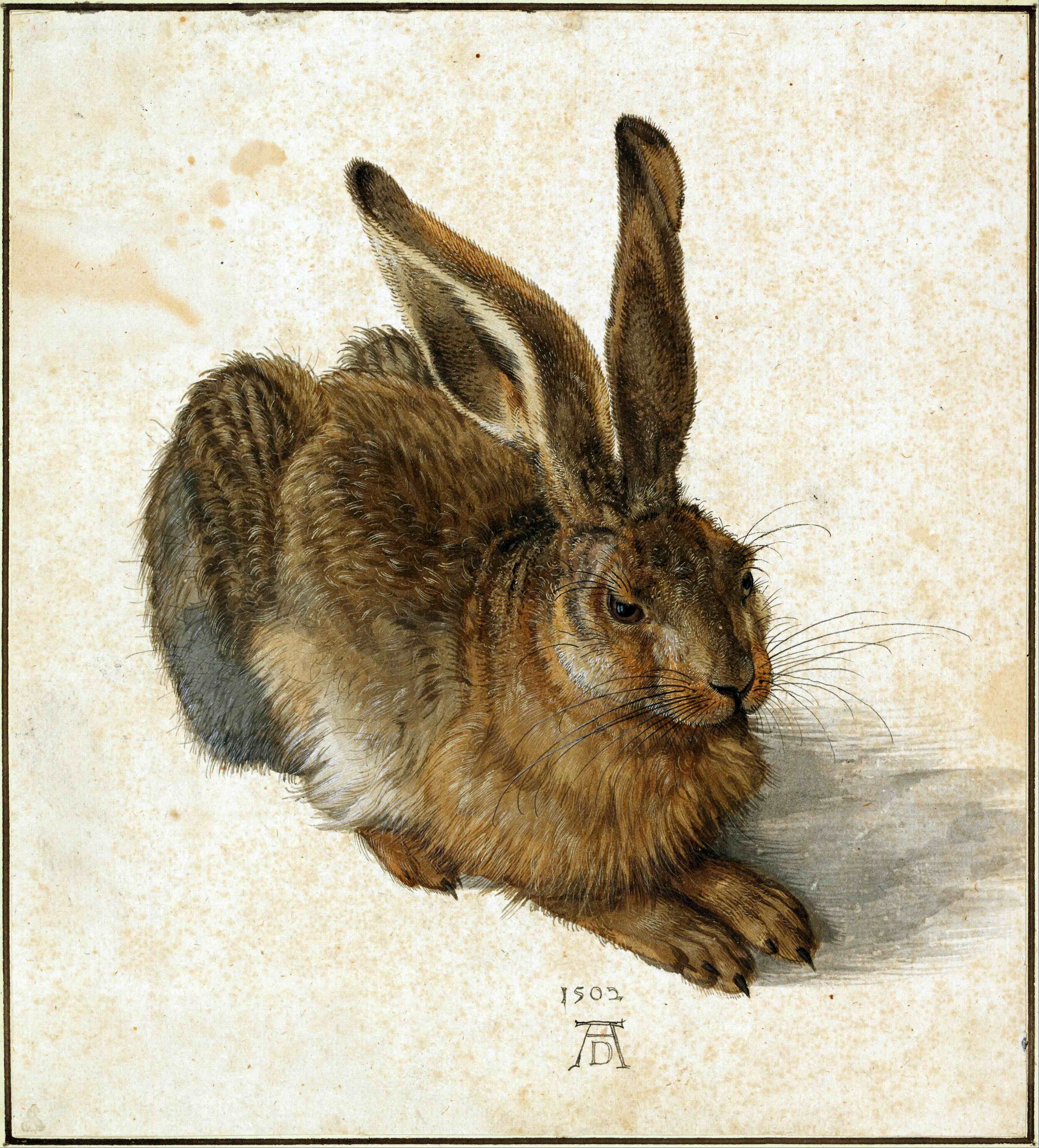 Look closely at Dürer's hare: there's a window in its eye